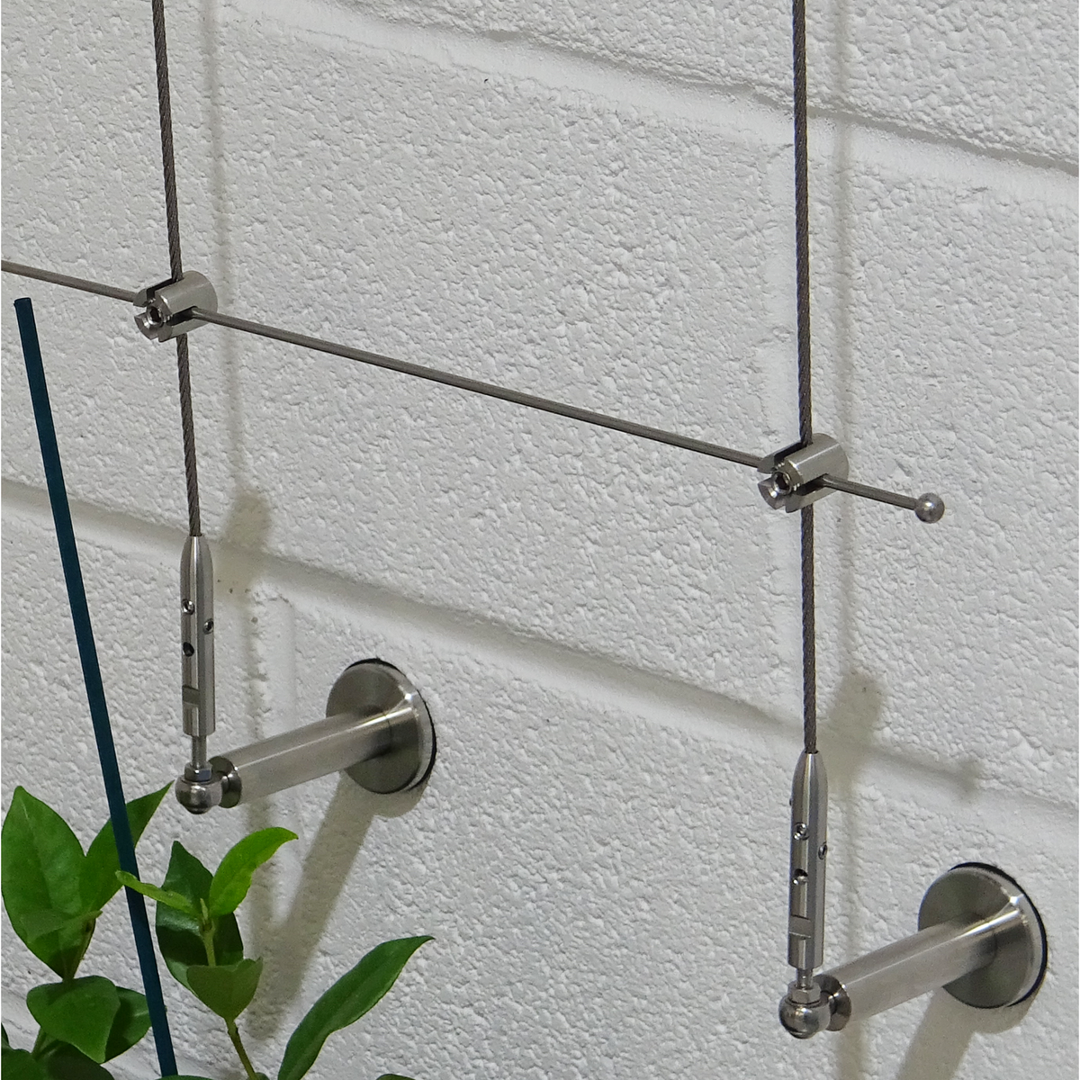 Photo of mounted stainless steel trellis showing components next to a plant.