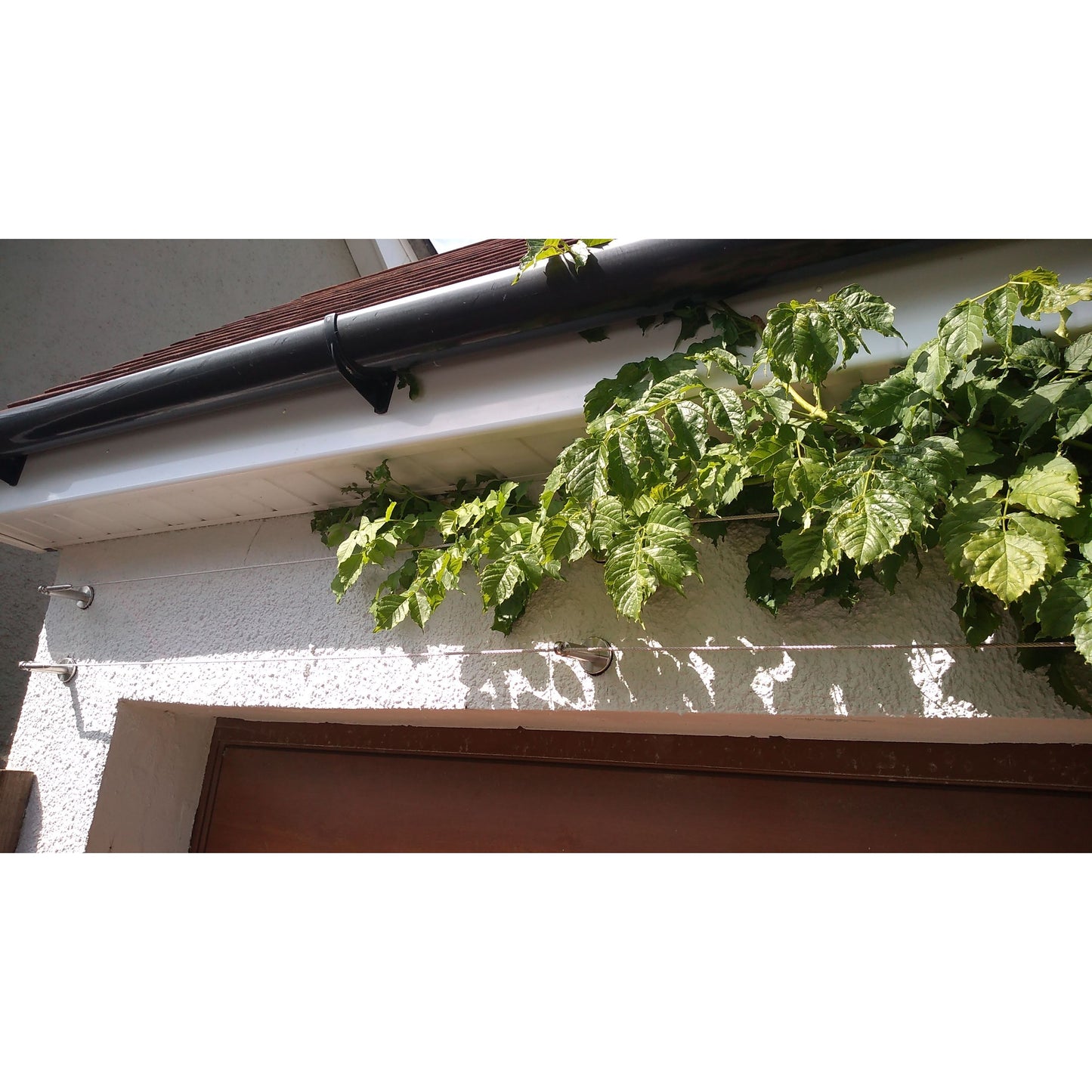 TECNI® Pro Stainless Cable & Rod Trellis Grid Kits