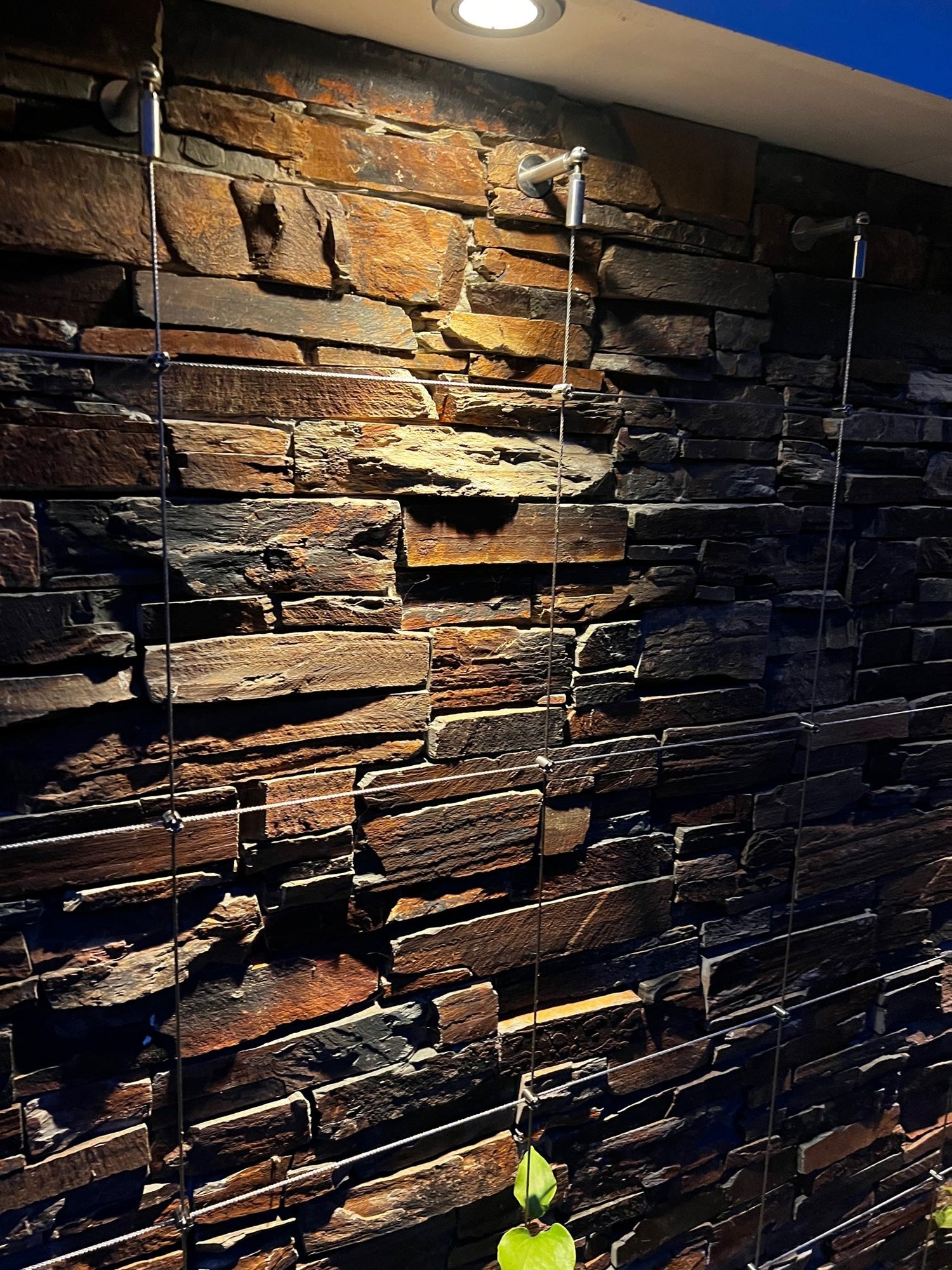 TECNI Mini Pro Trellis Systems using 3mm cable