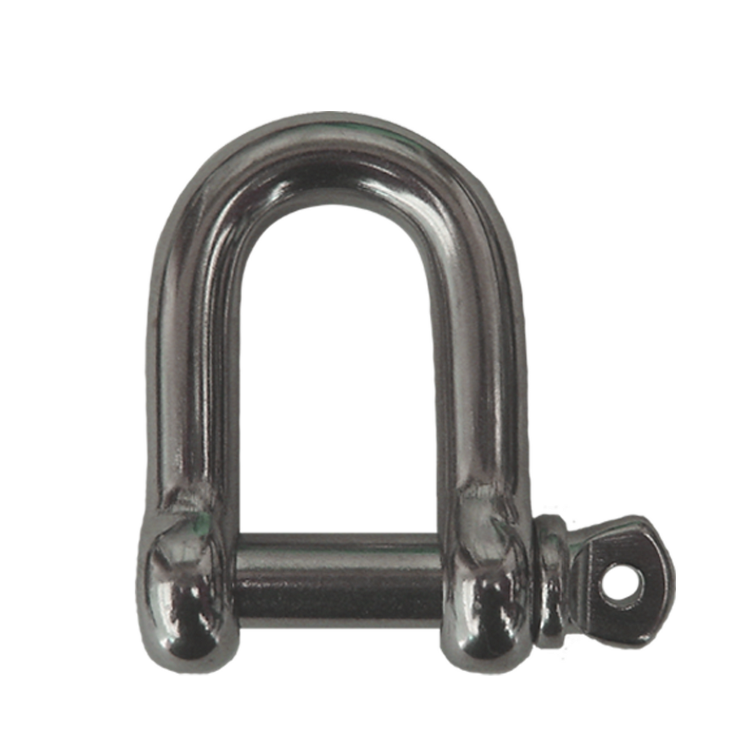 Stainless D Shackles