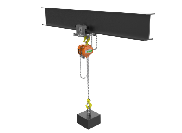 WH-SS C4 QP Chain Hoist - 3mtr HOL