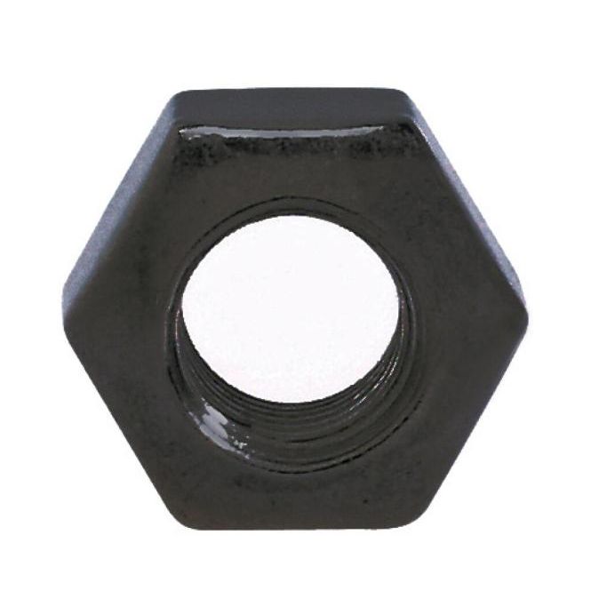 TECNI Black stainless steel hex nut on a white background