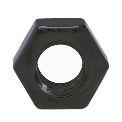 TECNI Black stainless steel hex nut on a white background