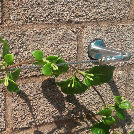 Close up photo of fitted trellis on brick wall showing components holding everything together with plants climbing through the trellis.