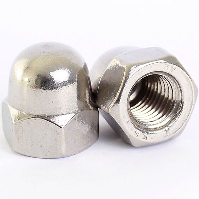 Metal nut and cap screw on a white background