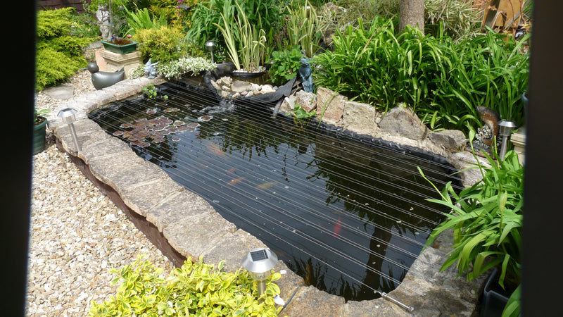 Photo of a fish pond with Tecni tension cables covering the top