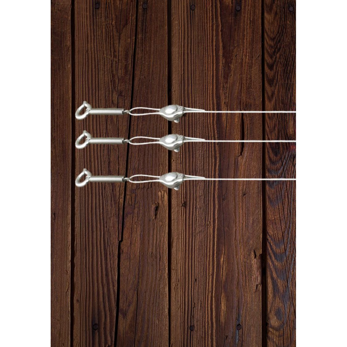 Metallic spring loaded 0.7mm cable  tension system on a wooden fence used to support climbing plants. TECNI 802.000.