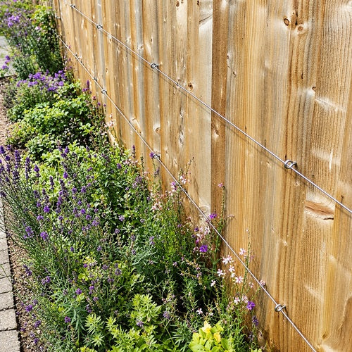 Overall photo showing how trellis looks once it has been installed on a wooden fence, 