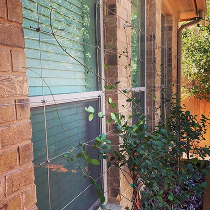 Photo showing trellis installed over windows to air growth of garden plants onto brick wall.